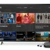 Cmo hacer que YouTube TV funcione en Roku Una gua completa para 2025